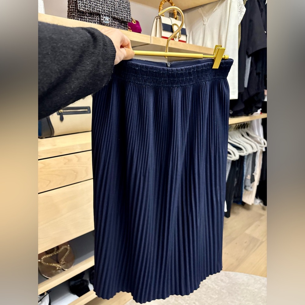 Zara Navy Pleated Maxi Skirt